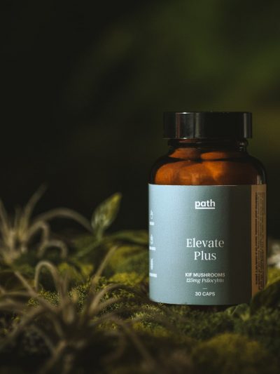 elevate-plus-shroom-capsules