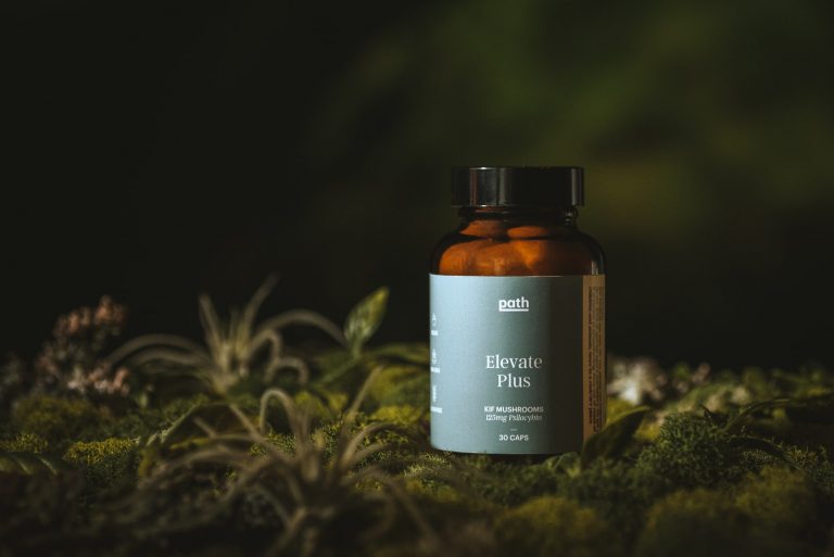 elevate-plus-shroom-capsules
