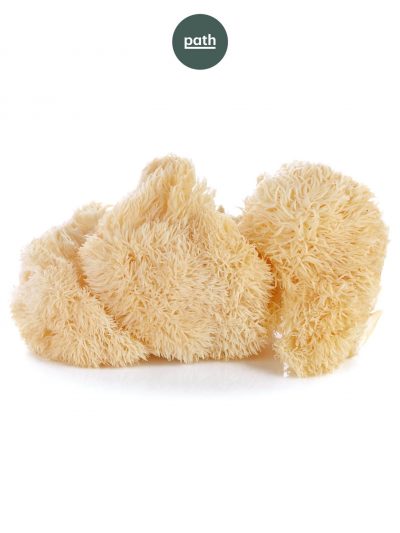 Lions-mane-shroom-capsules