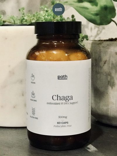 chaga magic mushroom capsules