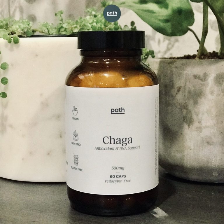 chaga magic mushroom capsules