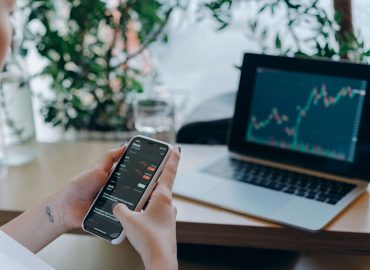 mushroom stock canada